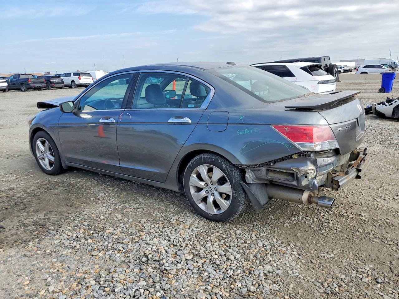 2008 Honda Accord Exl Gray vin: 1HGCP36848A043206