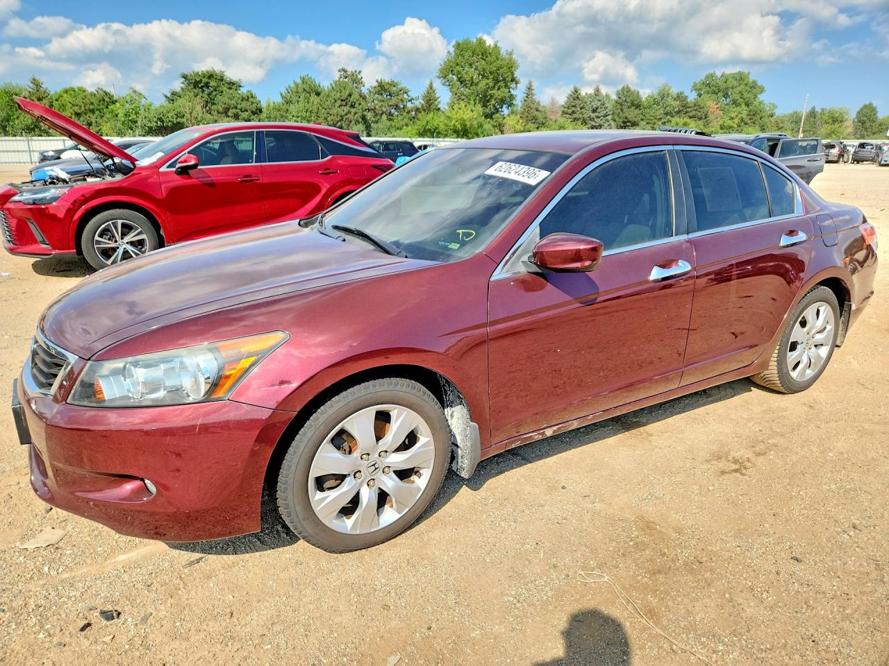 2009 Honda Accord Exl Maroon vin: 1HGCP36849A026276