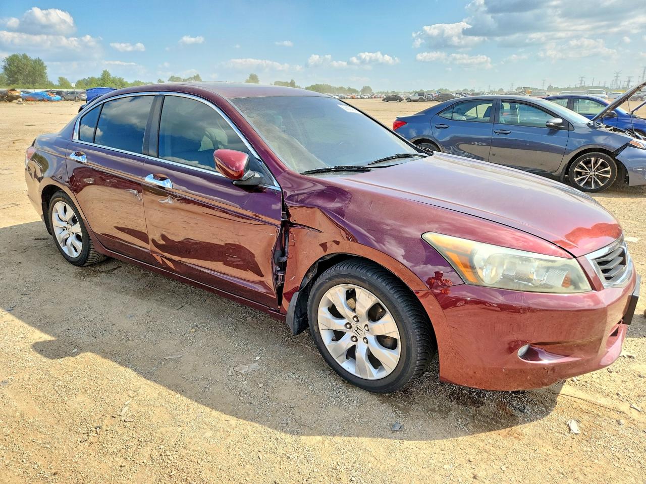 2009 Honda Accord Exl Темно-бордовый vin: 1HGCP36849A026276