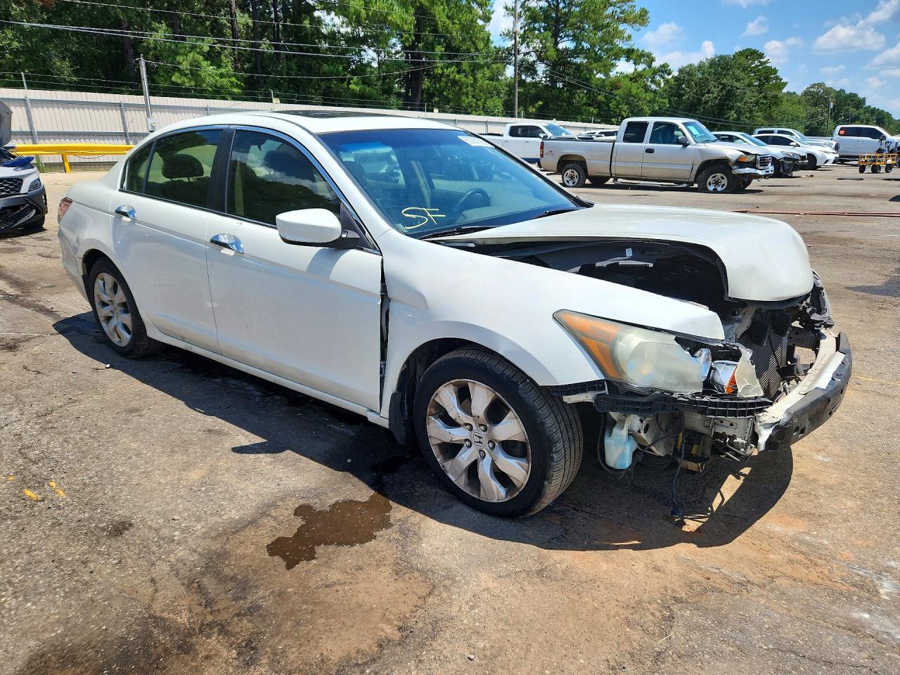 2009 Honda Accord Exl White vin: 1HGCP36849A045183