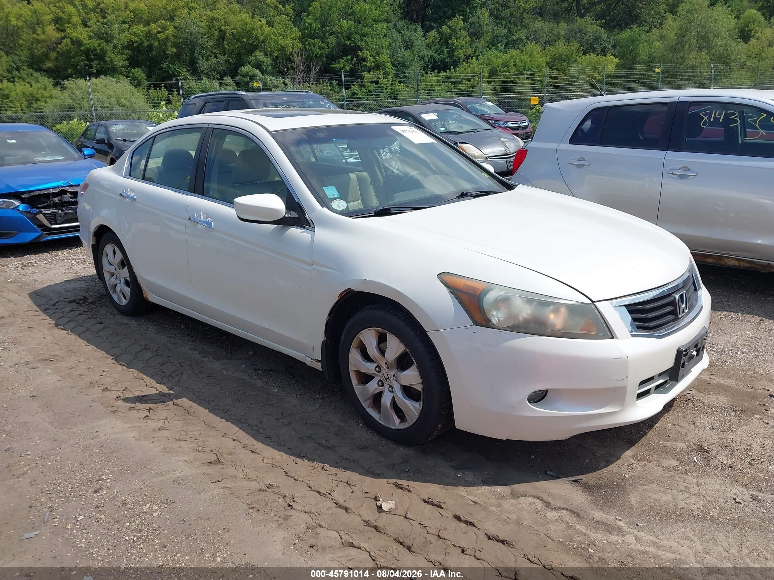 2008 Honda Accord 3.5 Ex-l Белый vin: 1HGCP36858A033199