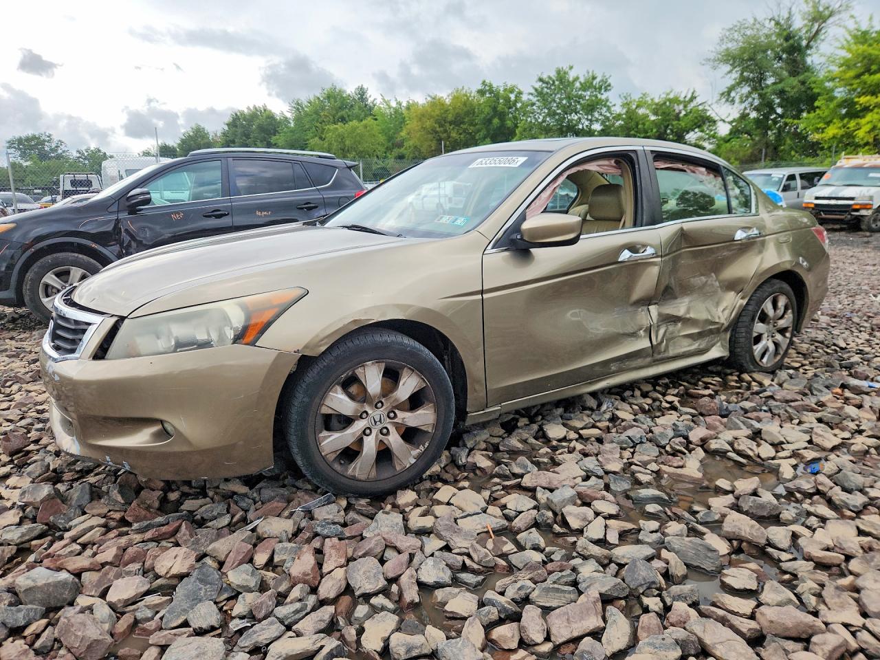 2008 Honda Accord Exl Желто-коричневый vin: 1HGCP36858A035471