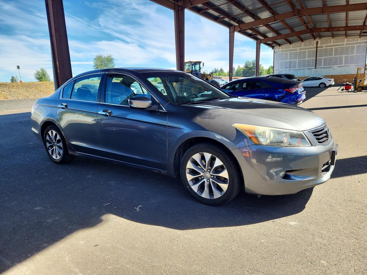 2008 Honda Accord Exl Gray vin: 1HGCP36858A064260