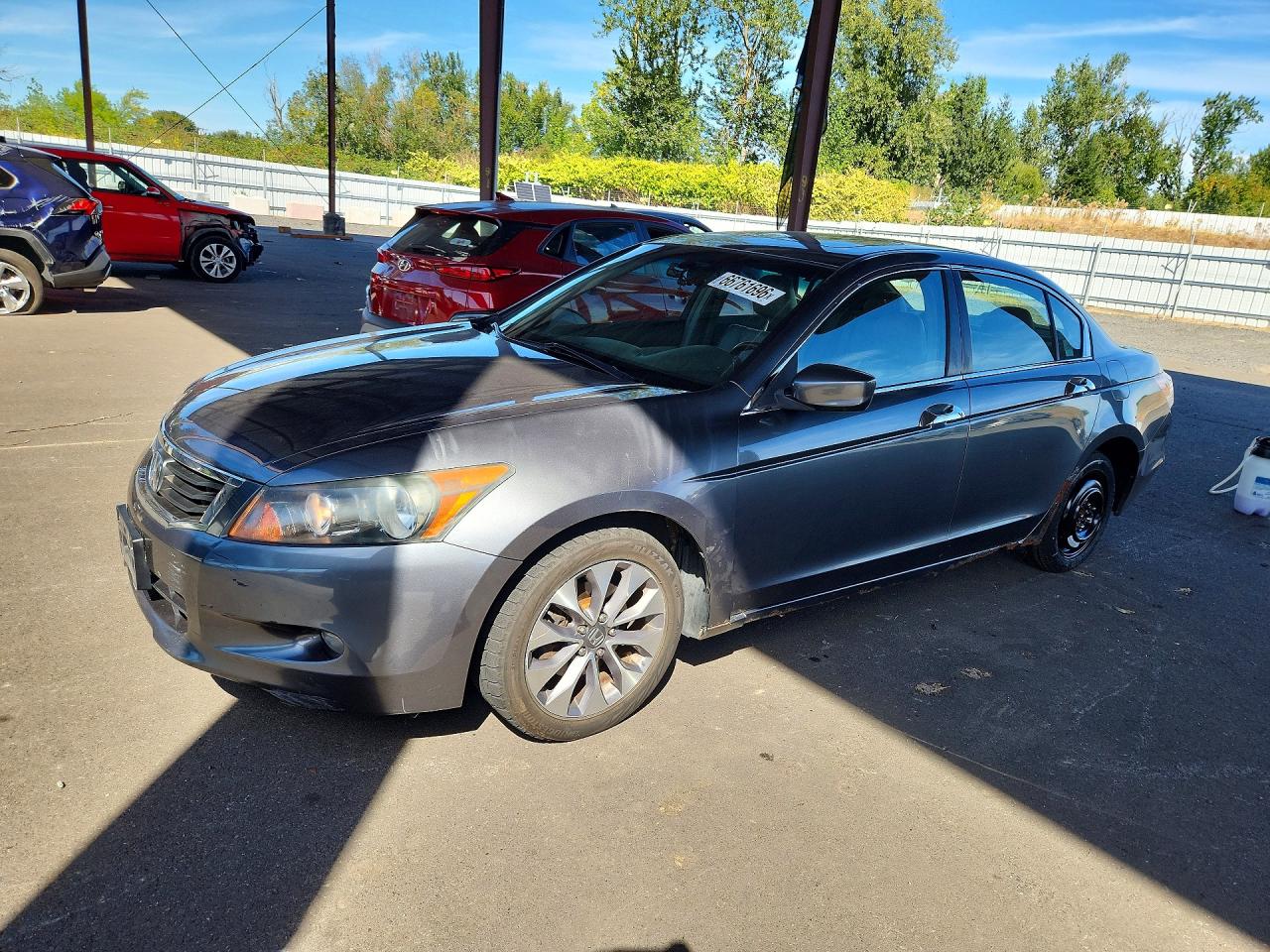 2008 Honda Accord Exl Gray vin: 1HGCP36858A064260