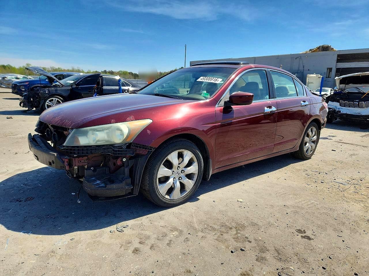 2008 Honda Accord Exl Красный vin: 1HGCP36858A073900