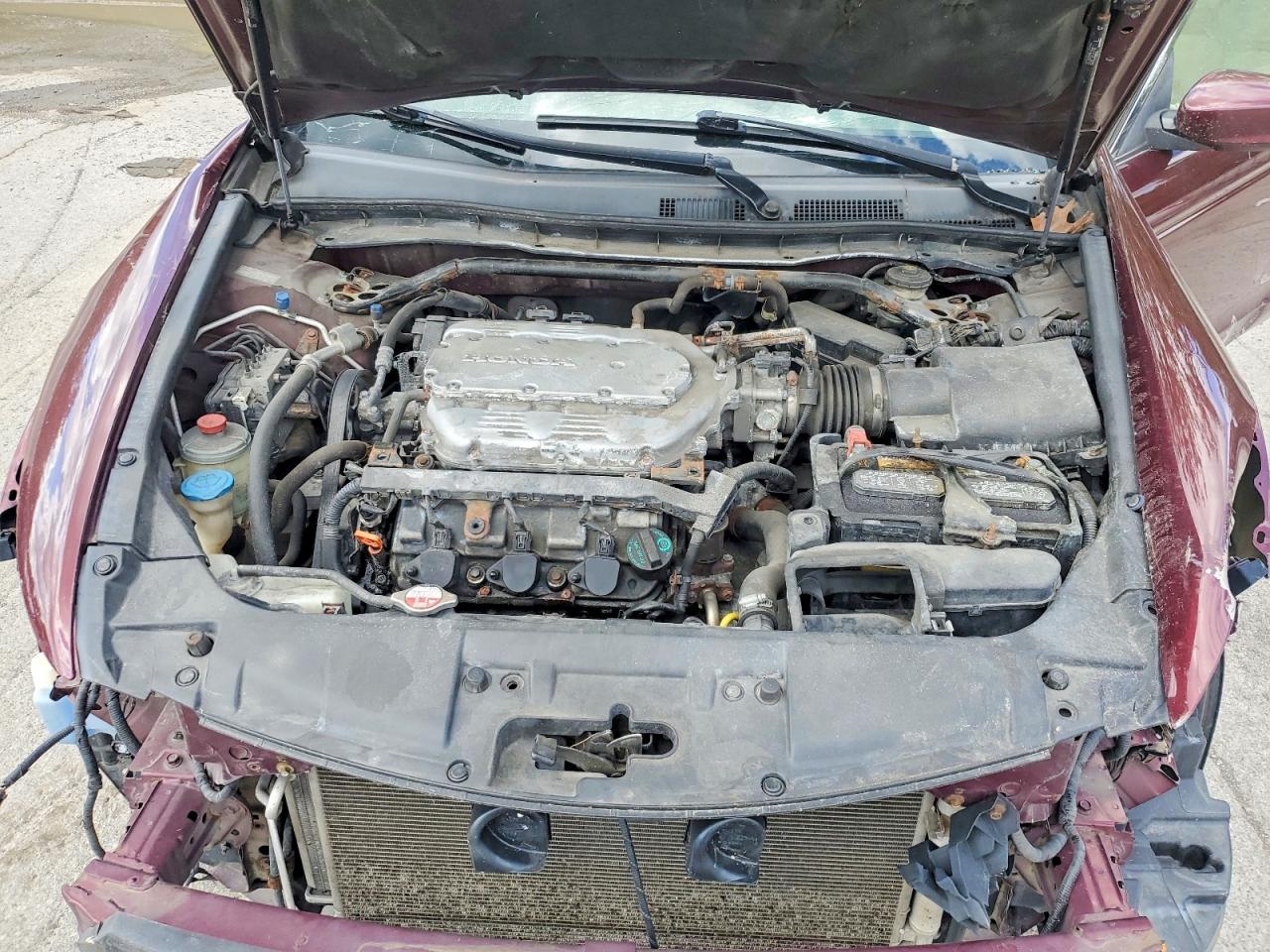 2008 Honda Accord Exl Burgundy vin: 1HGCP36858A076764