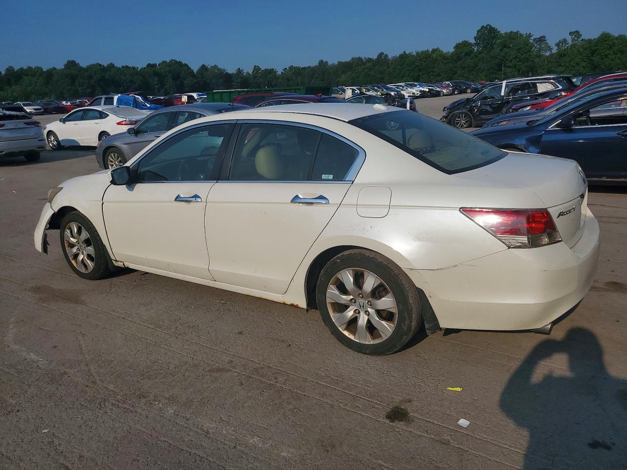 2008 Honda Accord Exl Белый vin: 1HGCP36858A078658