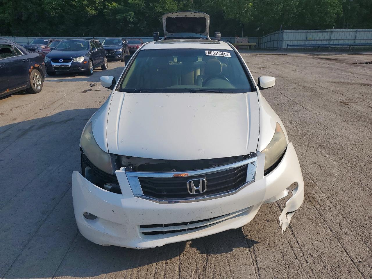 2008 Honda Accord Exl Белый vin: 1HGCP36858A078658