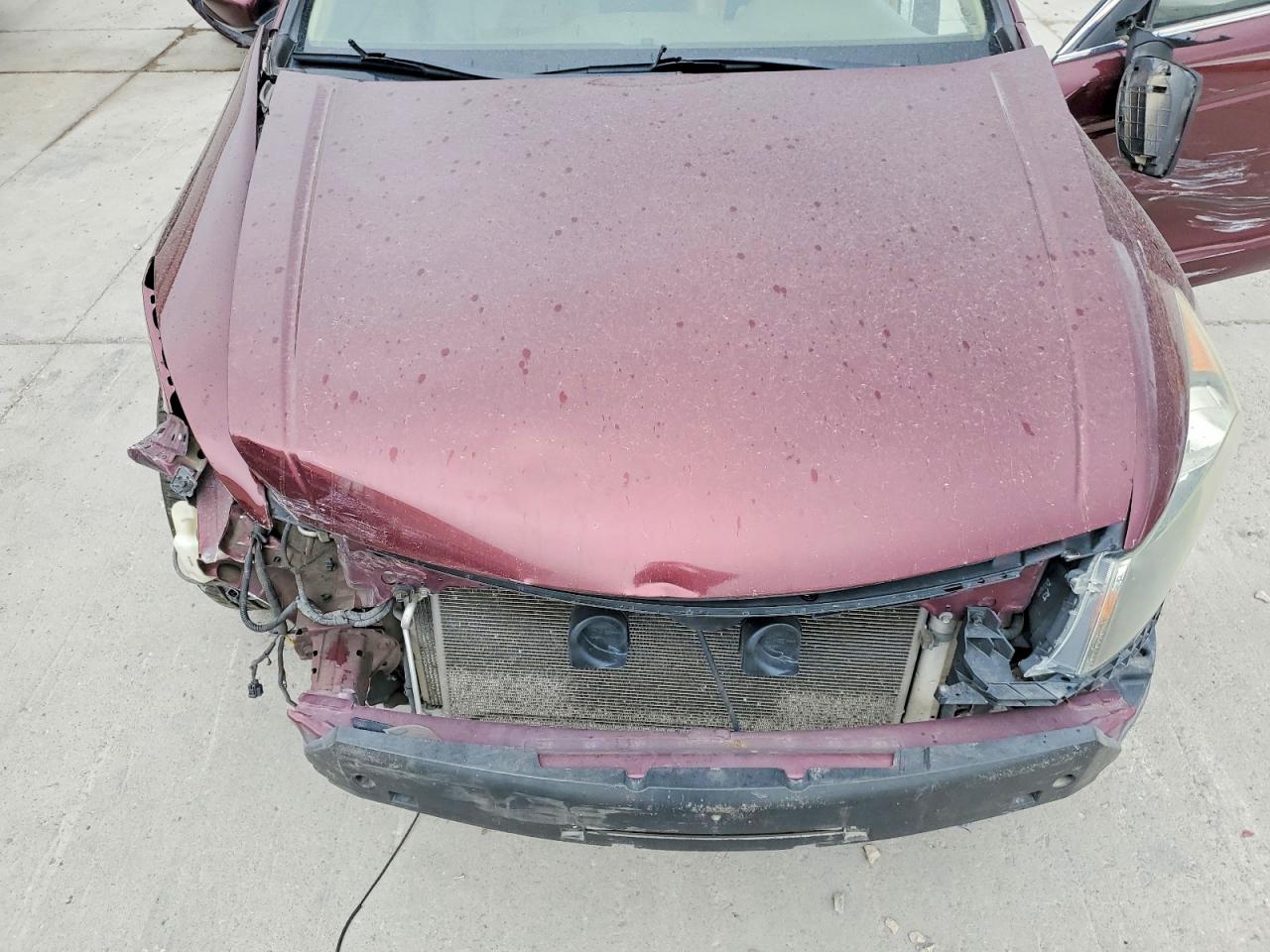 2008 Honda Accord Exl Maroon vin: 1HGCP36858A088168