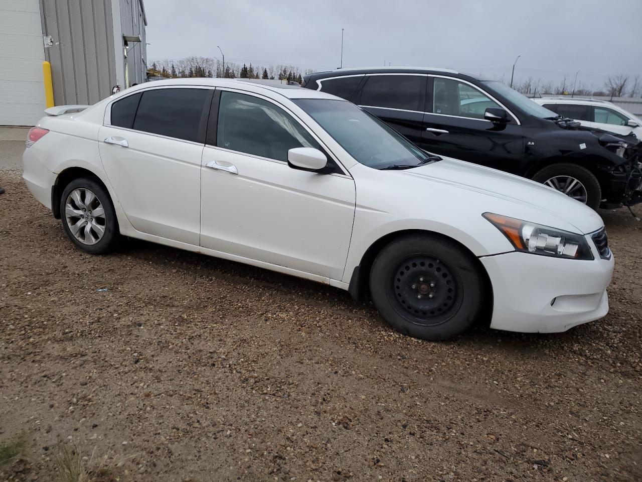 2008 Honda Accord Exl White vin: 1HGCP36858A803241