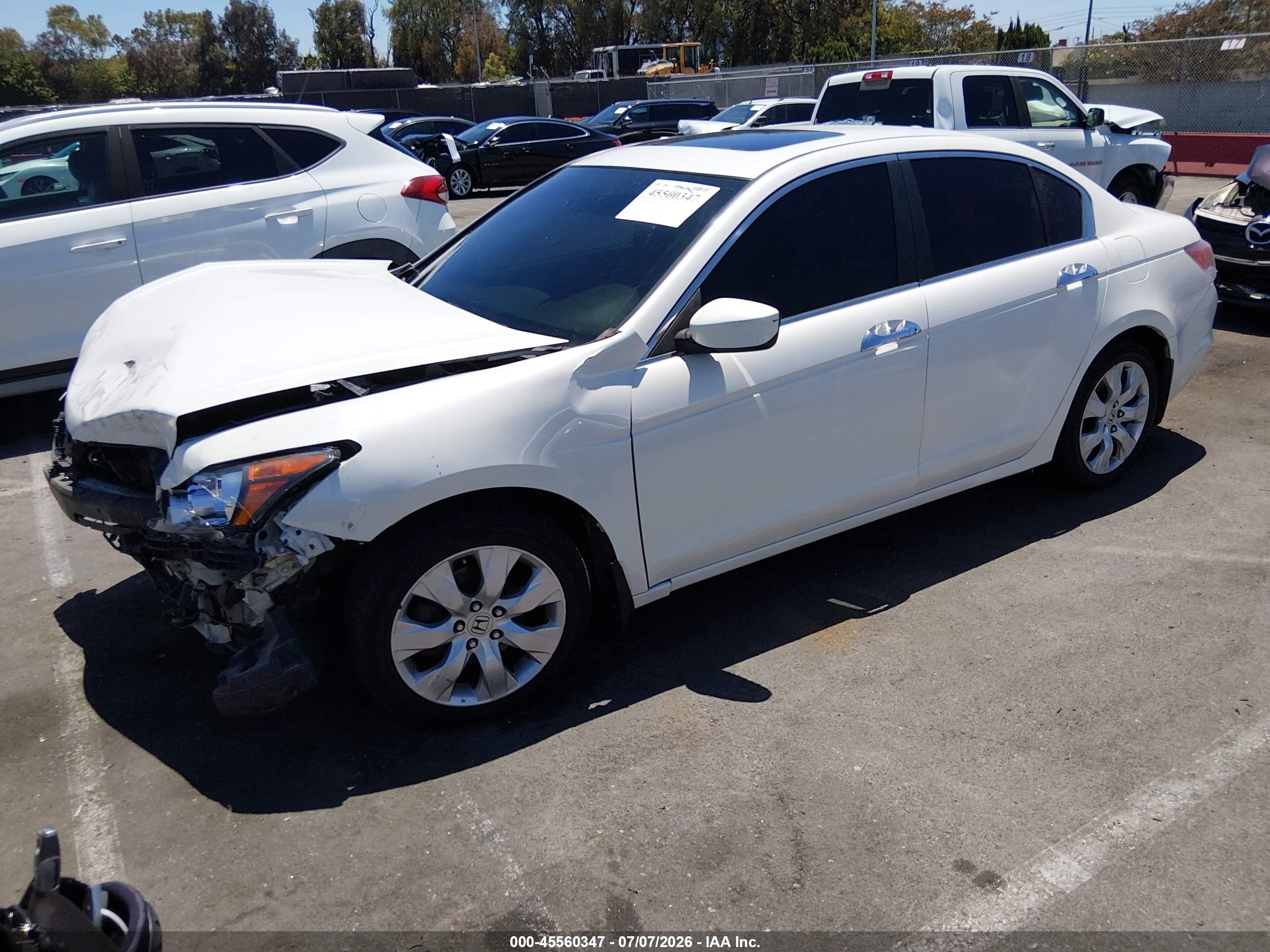 2009 Honda Accord 3.5 Ex-l Белый vin: 1HGCP36859A034919