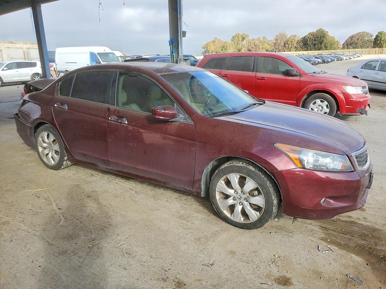 2009 Honda Accord Exl Бордовый vin: 1HGCP36859A050294