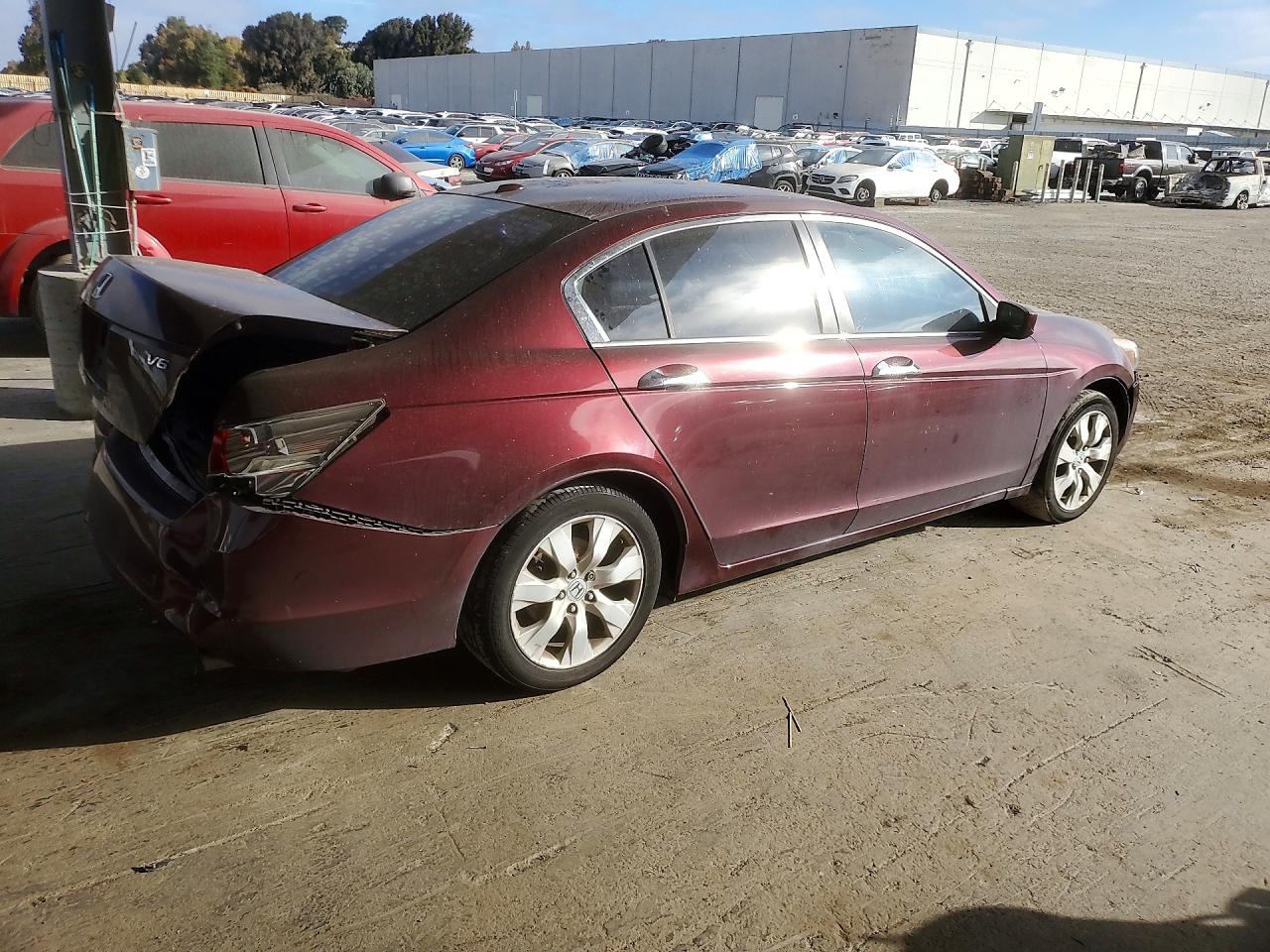 2009 Honda Accord Exl Бордовый vin: 1HGCP36859A050294