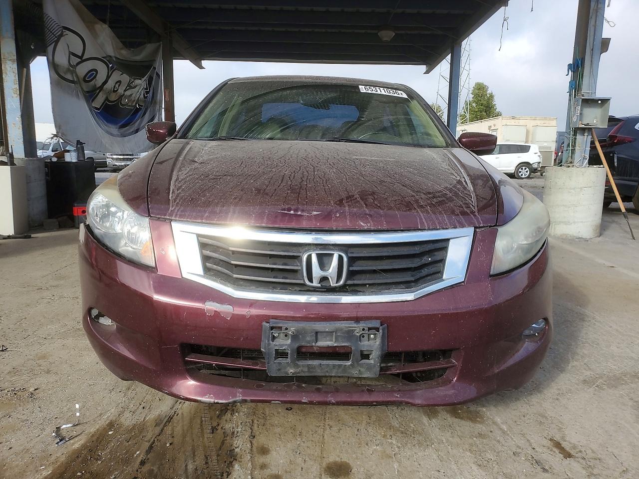 2009 Honda Accord Exl Бордовый vin: 1HGCP36859A050294