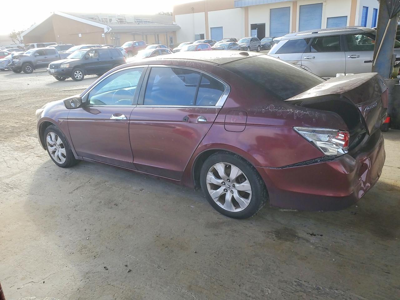 2009 Honda Accord Exl Бордовый vin: 1HGCP36859A050294