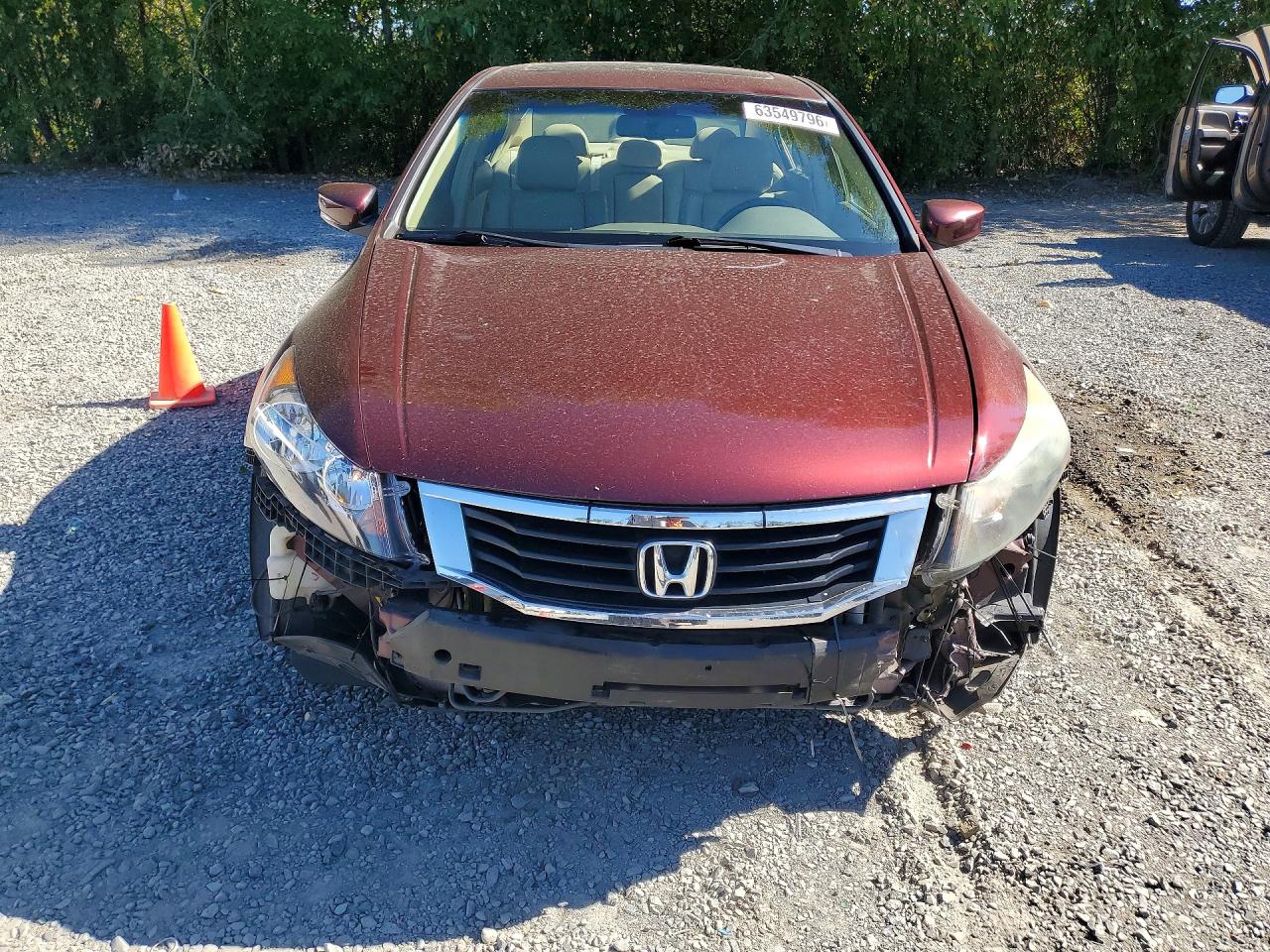 2009 Honda Accord Exl Темно-бордовый vin: 1HGCP36859A051641