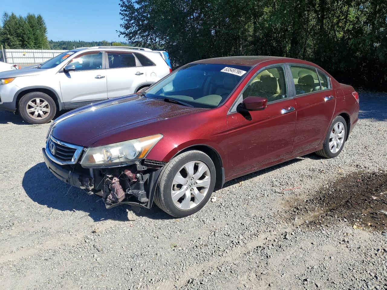 2009 Honda Accord Exl Maroon vin: 1HGCP36859A051641