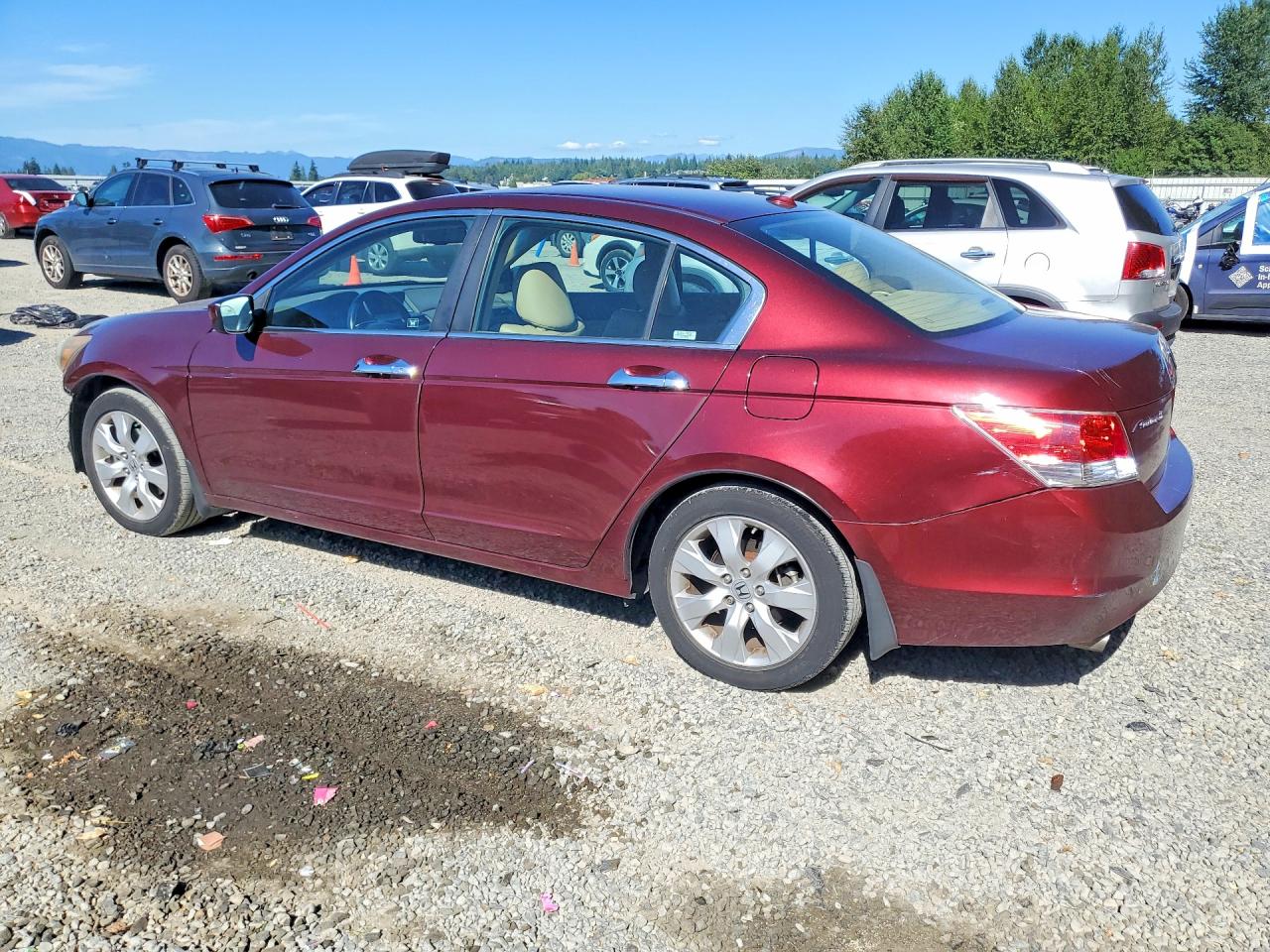 2009 Honda Accord Exl Темно-бордовый vin: 1HGCP36859A051641