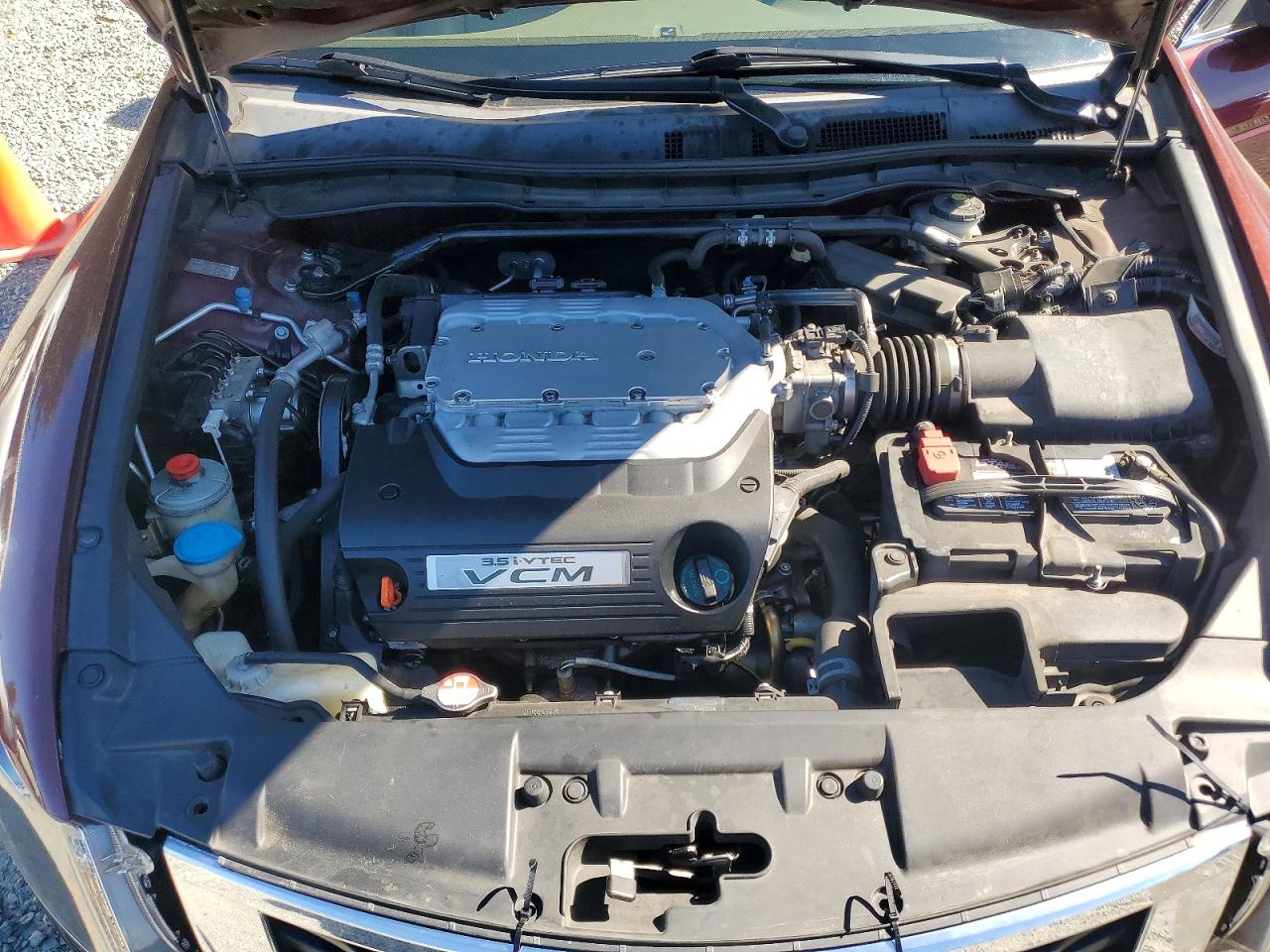 2009 Honda Accord Exl Темно-бордовый vin: 1HGCP36859A051641