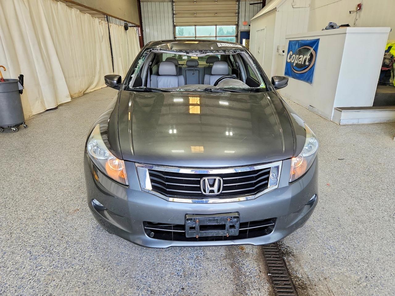 2009 Honda Accord Exl Gray vin: 1HGCP36869A001783