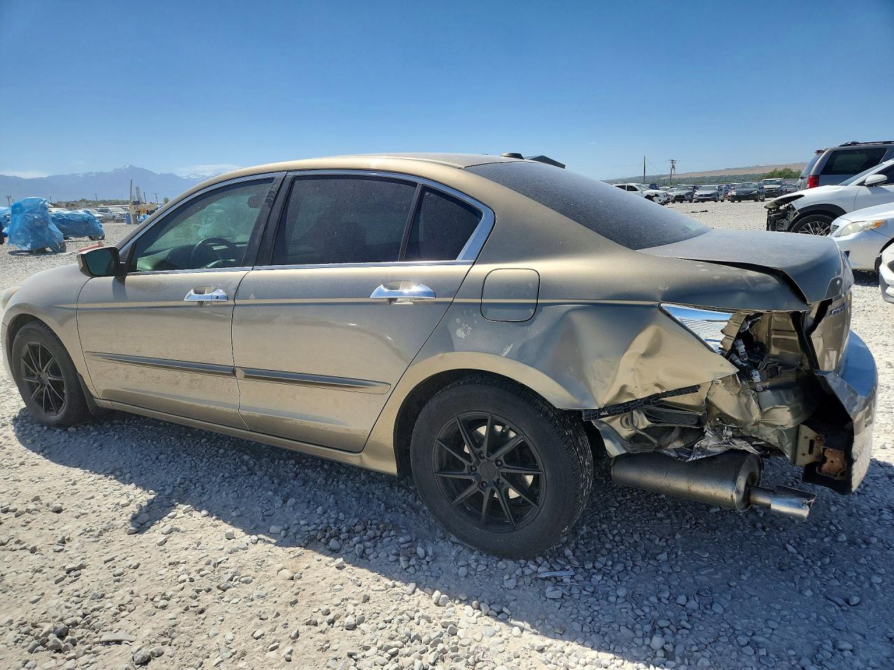 2008 Honda Accord Exl Gold vin: 1HGCP36878A011866