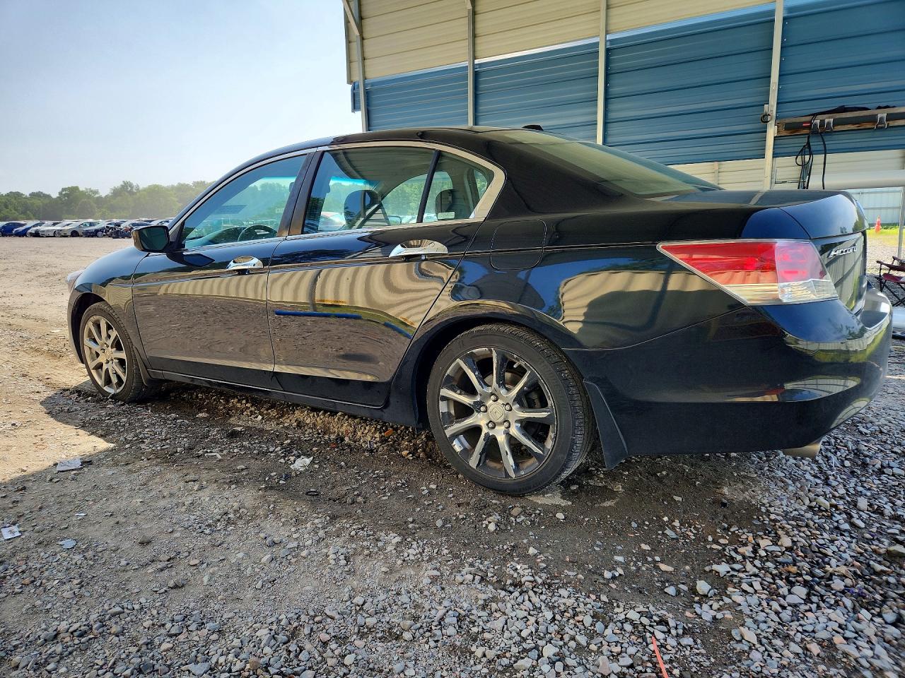 2008 Honda Accord Exl Black vin: 1HGCP36878A032068