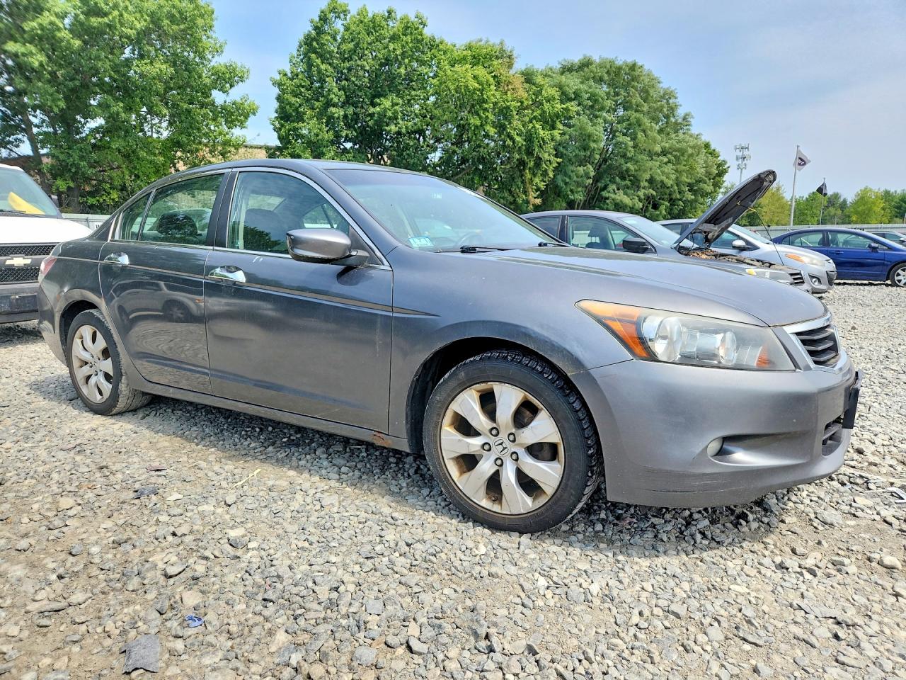 2008 Honda Accord Exl Gray vin: 1HGCP36878A037867
