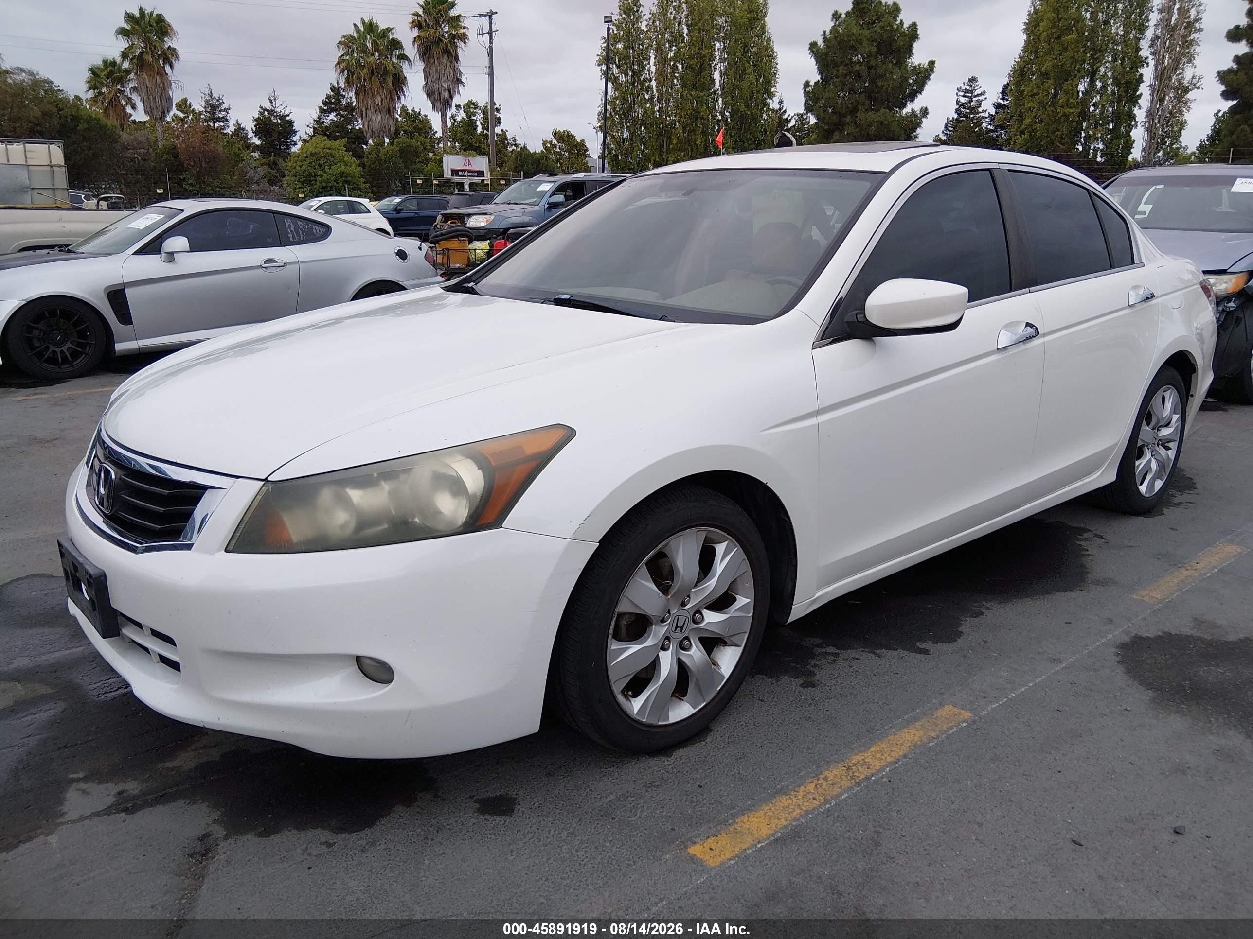 2008 Honda Accord 3.5 Ex-l Белый vin: 1HGCP36878A057178