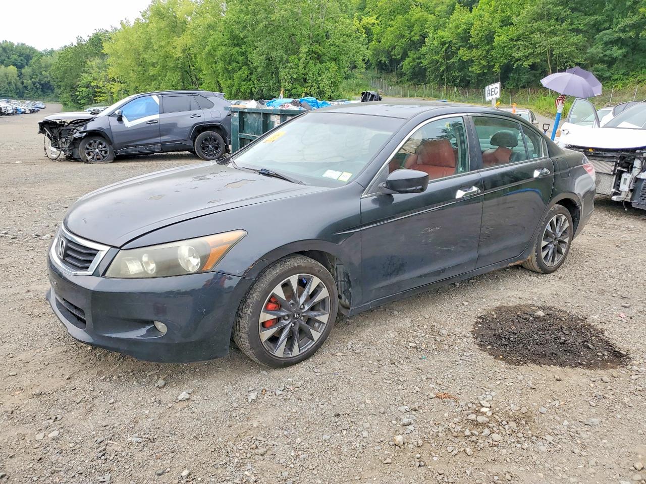 2008 Honda Accord Exl Black vin: 1HGCP36878A071582