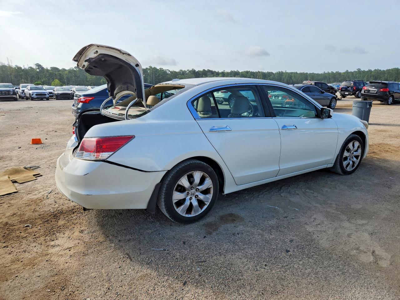 2009 Honda Accord Exl White vin: 1HGCP36879A008306