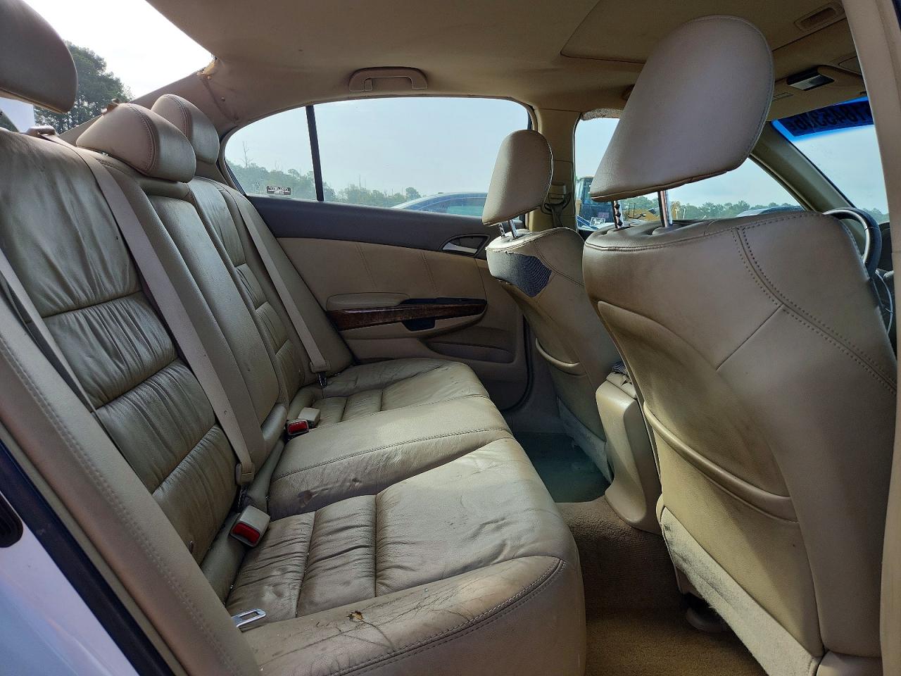 2009 Honda Accord Exl White vin: 1HGCP36879A008306