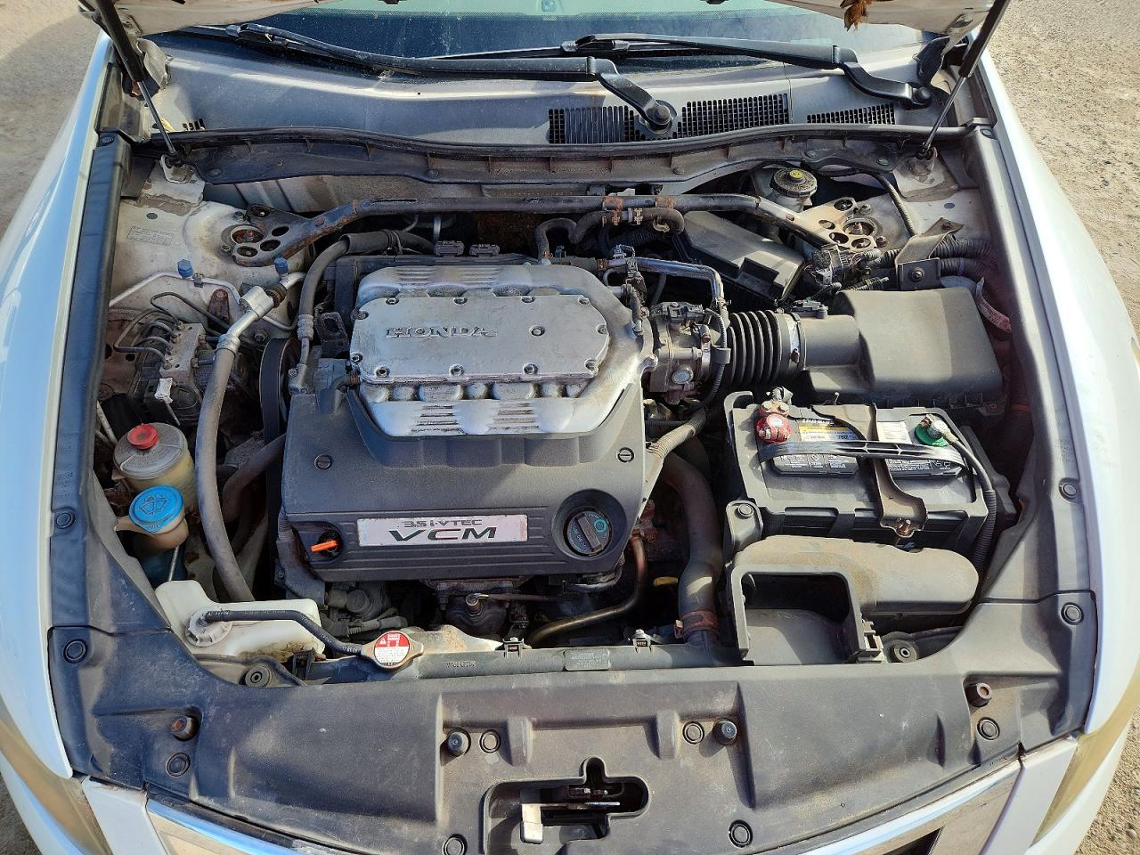 2009 Honda Accord Exl White vin: 1HGCP36879A008306
