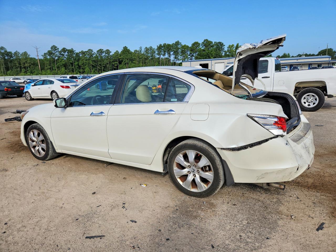 2009 Honda Accord Exl White vin: 1HGCP36879A008306