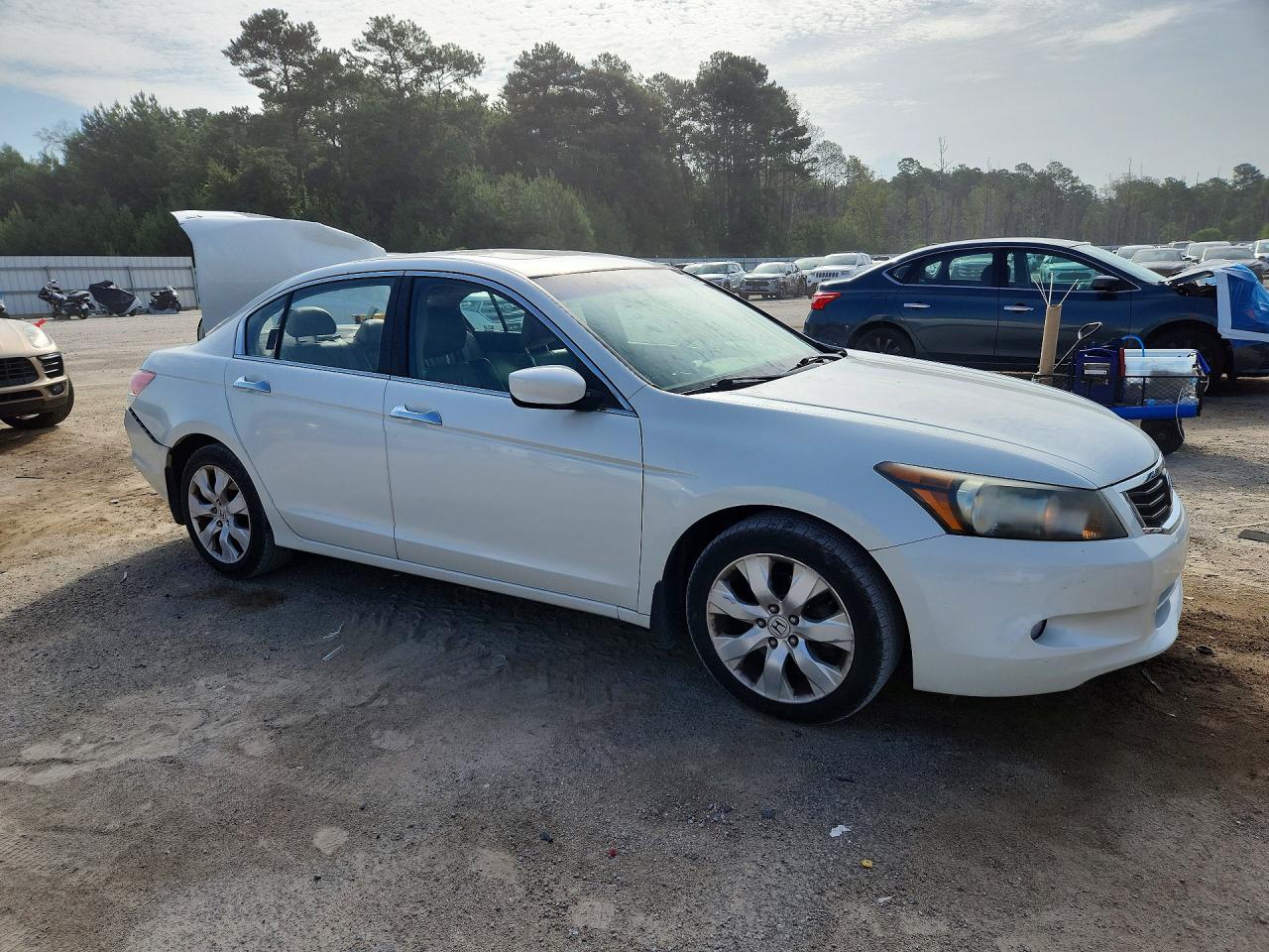 2009 Honda Accord Exl White vin: 1HGCP36879A008306