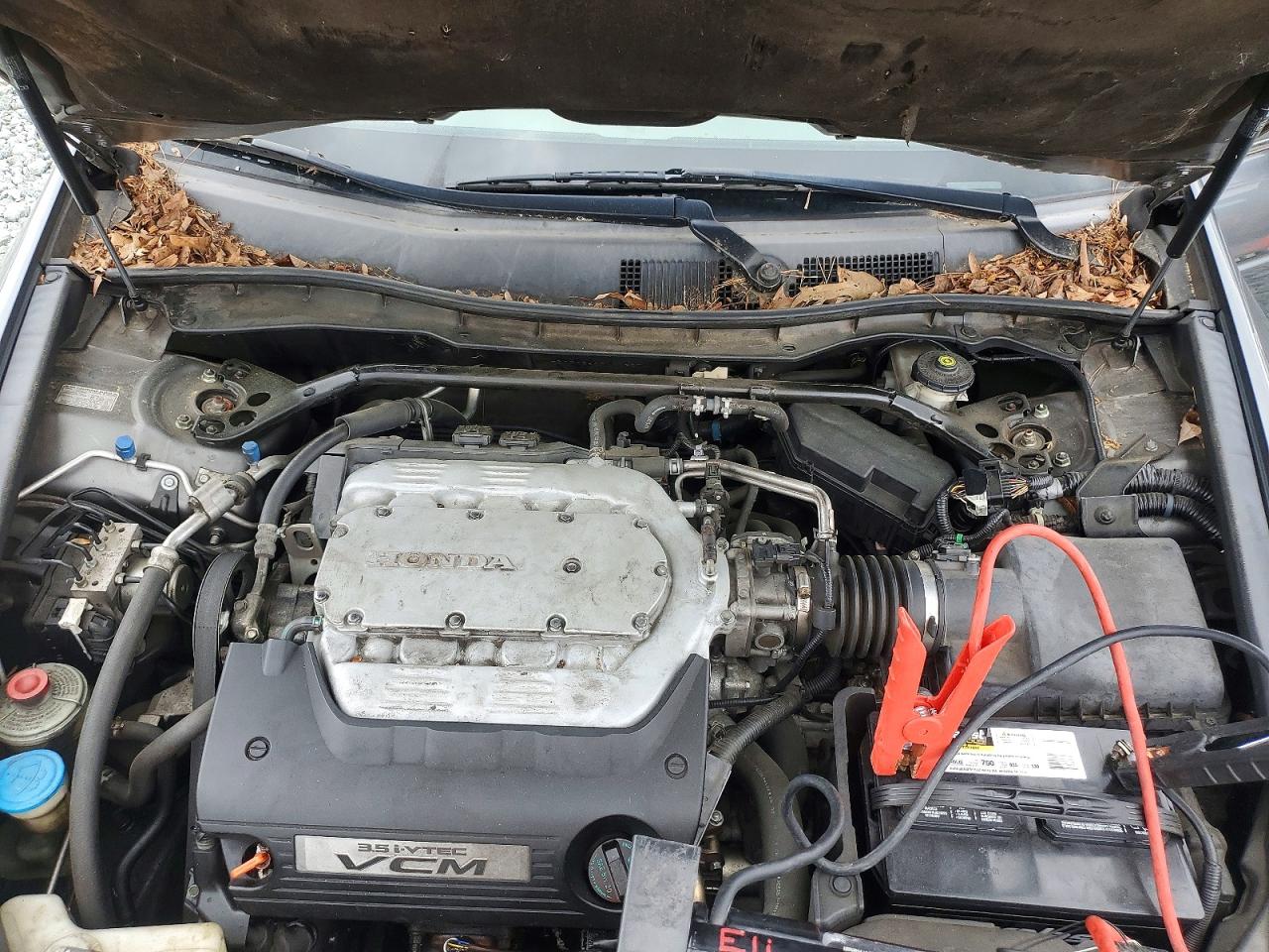 2009 Honda Accord Exl Серый vin: 1HGCP36879A013859