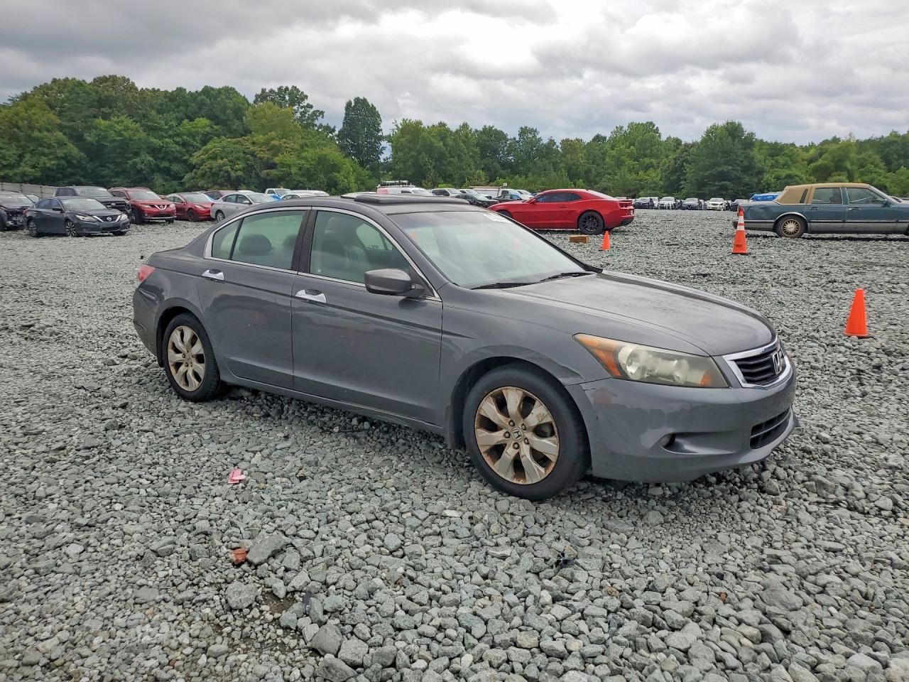 2009 Honda Accord Exl Серый vin: 1HGCP36879A013859