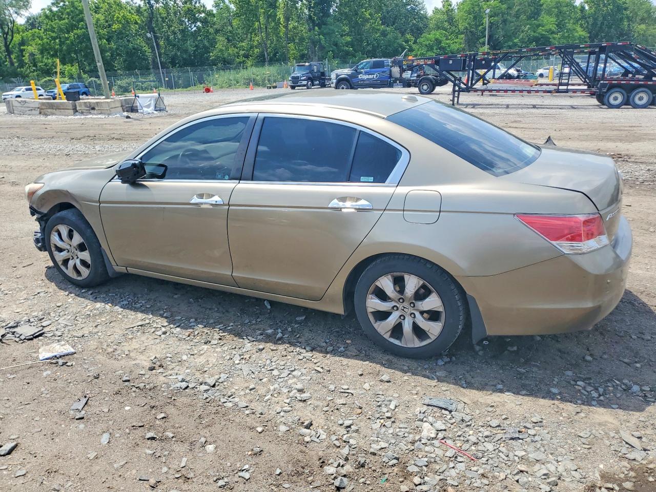 2009 Honda Accord Exl Gold vin: 1HGCP36879A022030