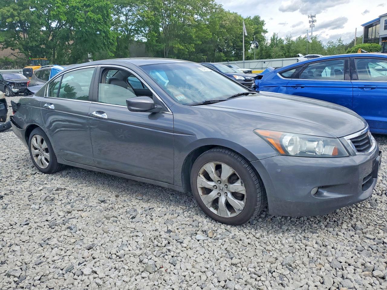 2009 Honda Accord Exl Gray vin: 1HGCP36879A022559
