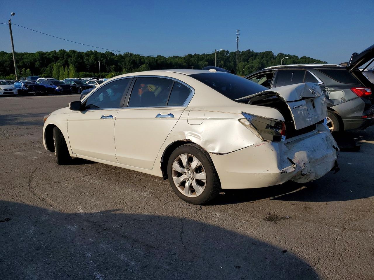 2008 Honda Accord Exl White vin: 1HGCP36888A013321
