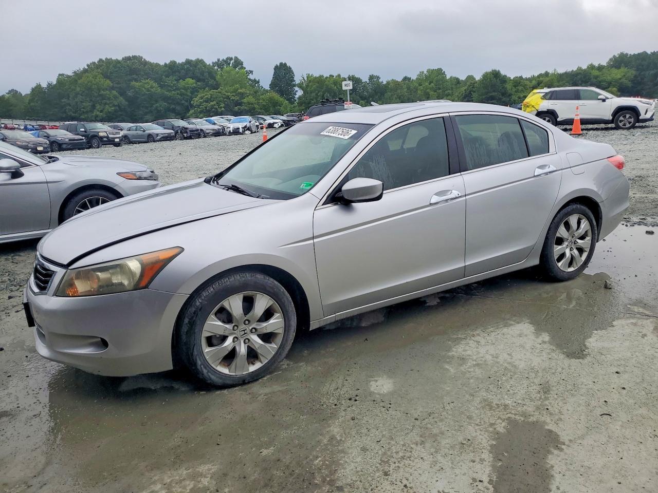 2008 Honda Accord Exl Gray vin: 1HGCP36888A073518