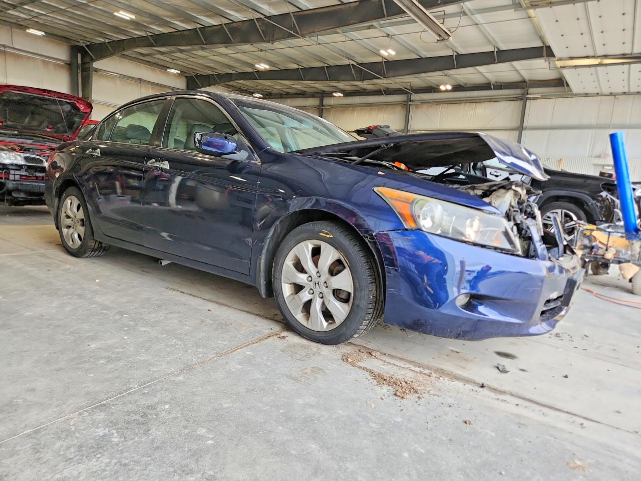 2008 Honda Accord Exl Синий vin: 1HGCP36888A085362