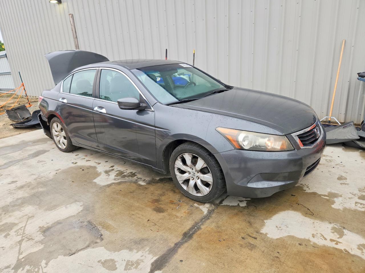 2008 Honda Accord Exl Gray vin: 1HGCP36888A088360