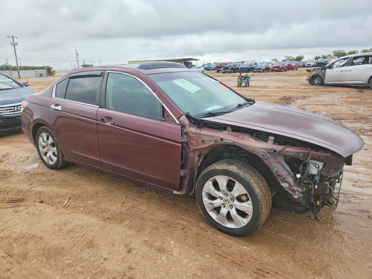 2009 Honda Accord Exl Burgundy vin: 1HGCP36889A025874