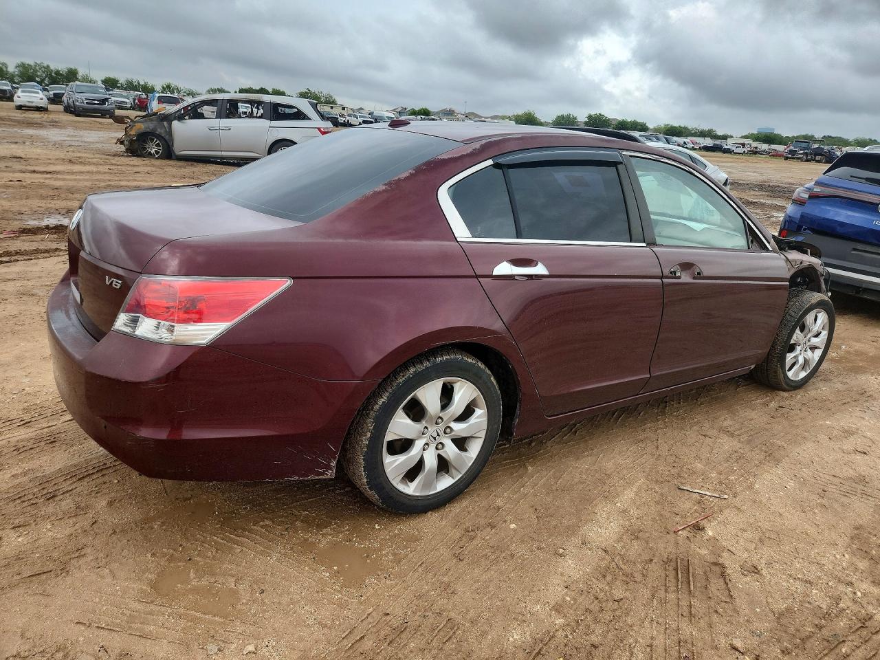 2009 Honda Accord Exl Burgundy vin: 1HGCP36889A025874