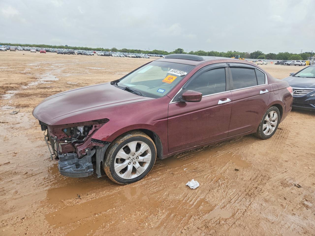2009 Honda Accord Exl Burgundy vin: 1HGCP36889A025874