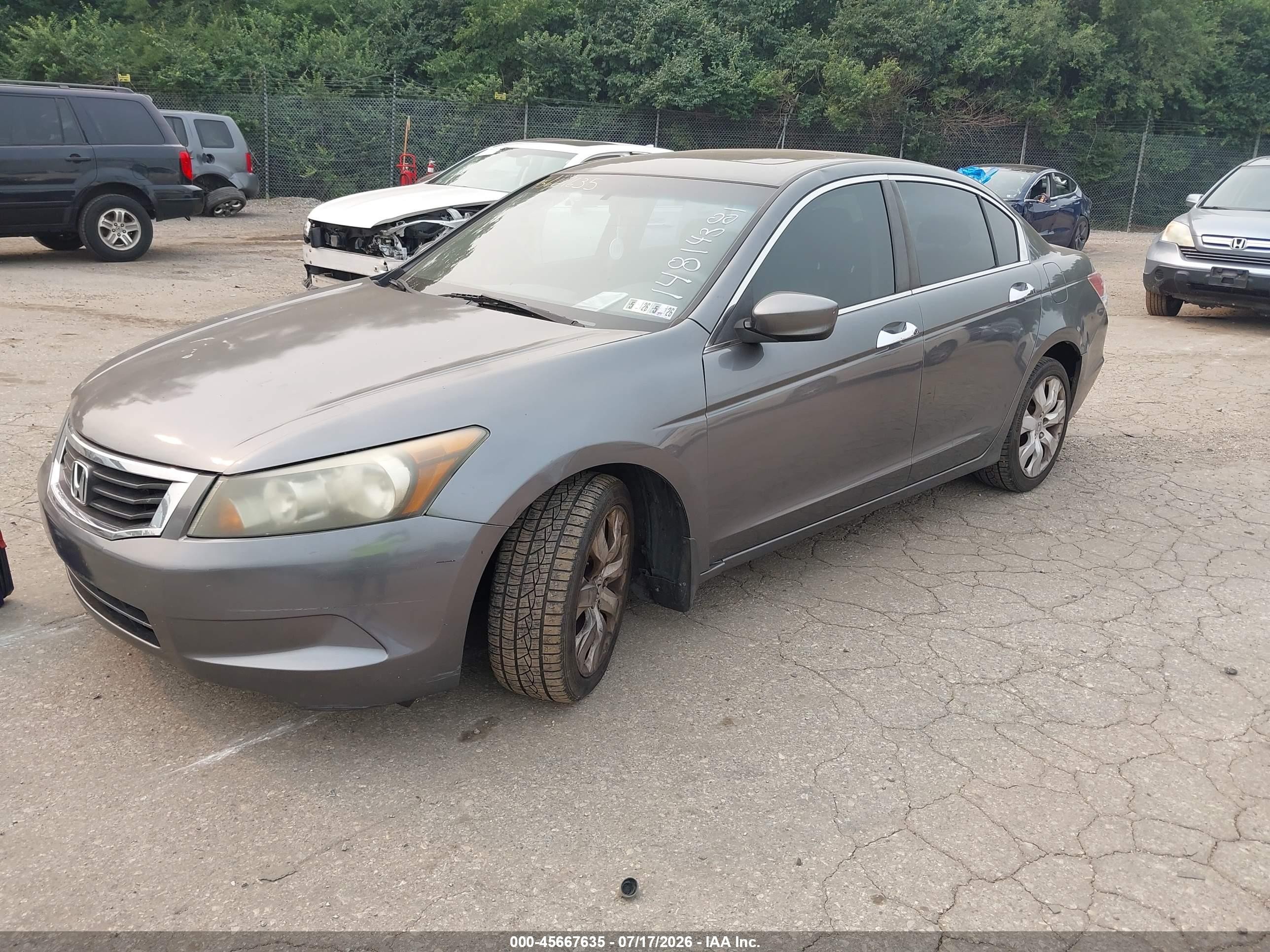 2009 Honda Accord 3.5 Ex-l Gray vin: 1HGCP36889A026832