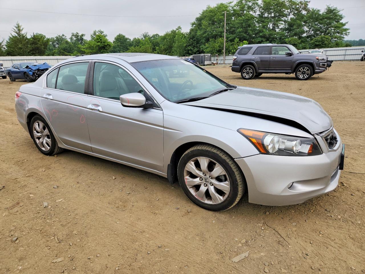 2009 Honda Accord Exl Silver vin: 1HGCP36889A026880