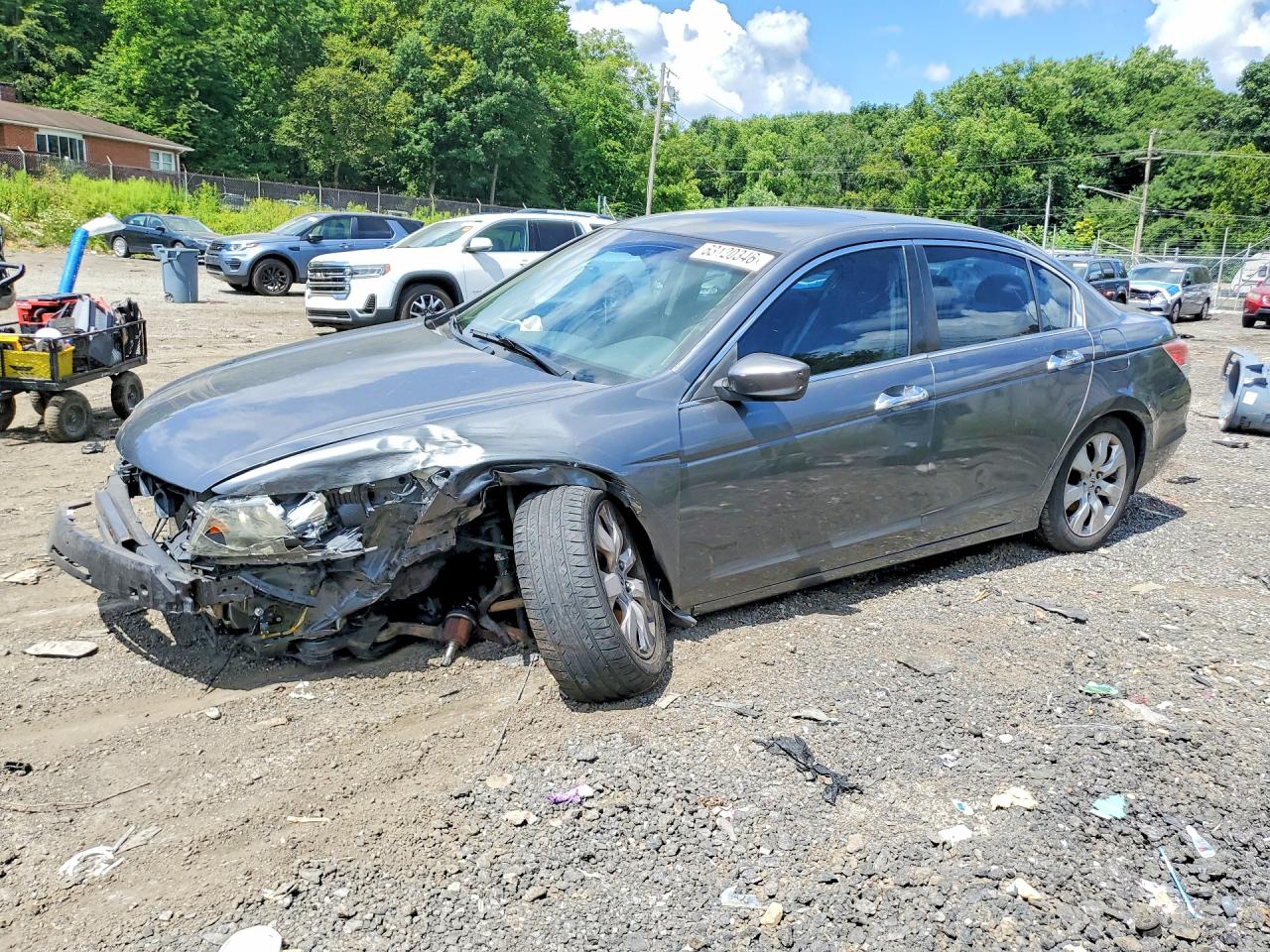 2009 Honda Accord Exl Gray vin: 1HGCP36889A028158