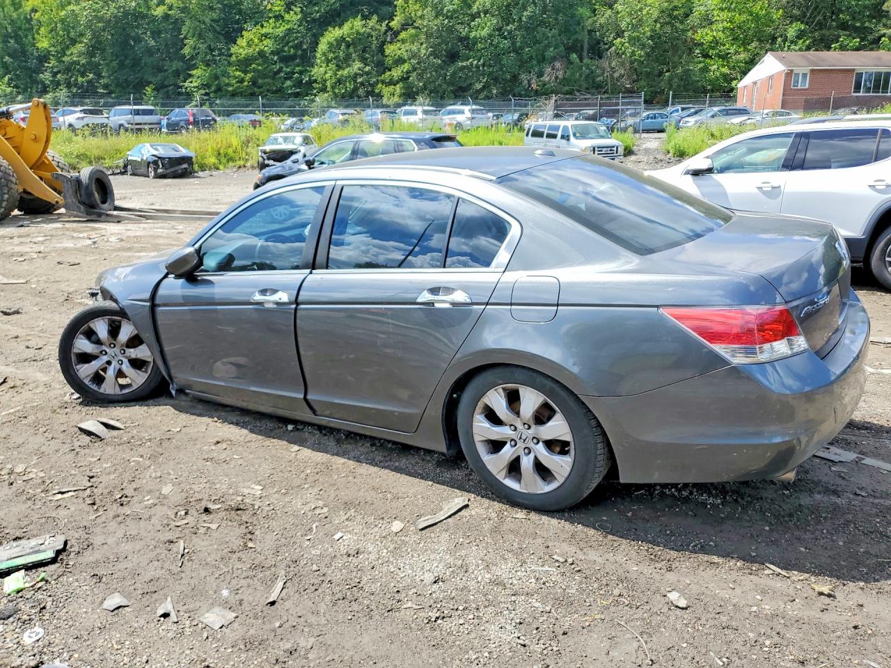 2009 Honda Accord Exl Gray vin: 1HGCP36889A028158