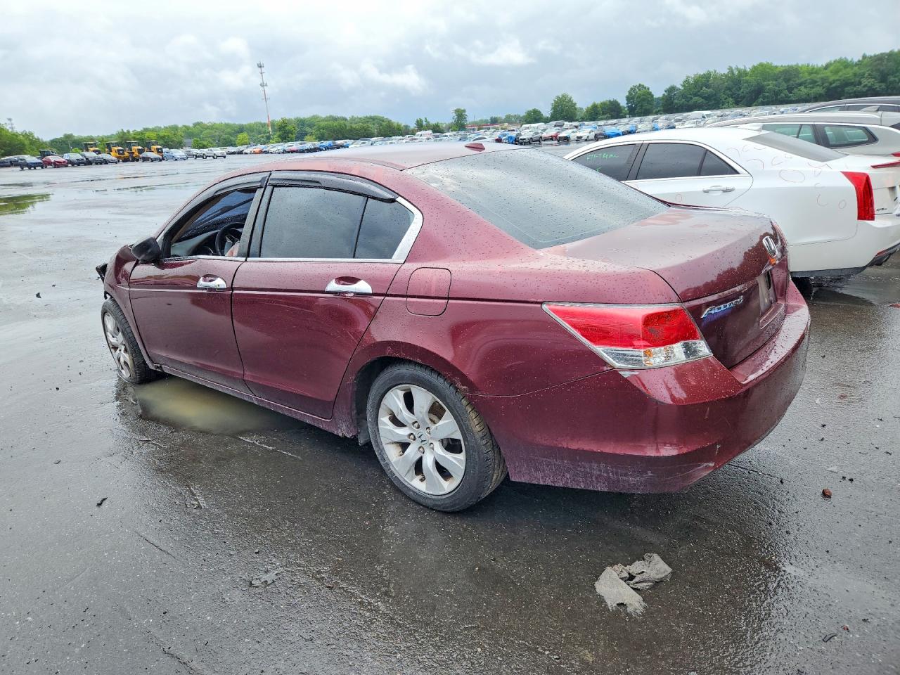 2008 Honda Accord Exl Burgundy vin: 1HGCP36898A011836